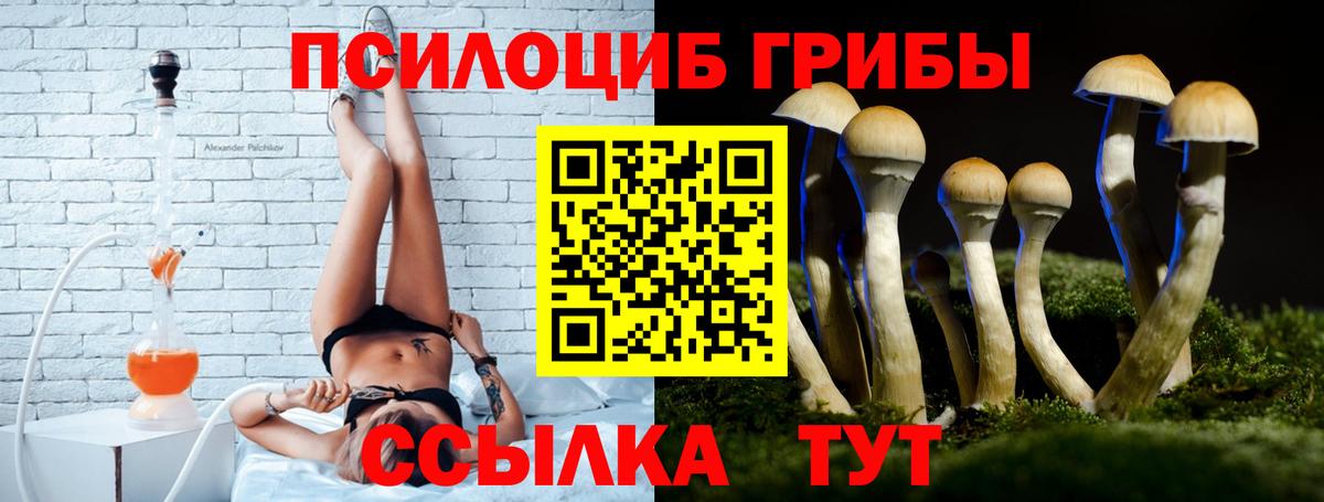 Галлюциногенные грибы Psilocybine cubensis  Галлюциногенные грибы MAGIC MUSHROOMS  Вход с VPN  Туймазы 