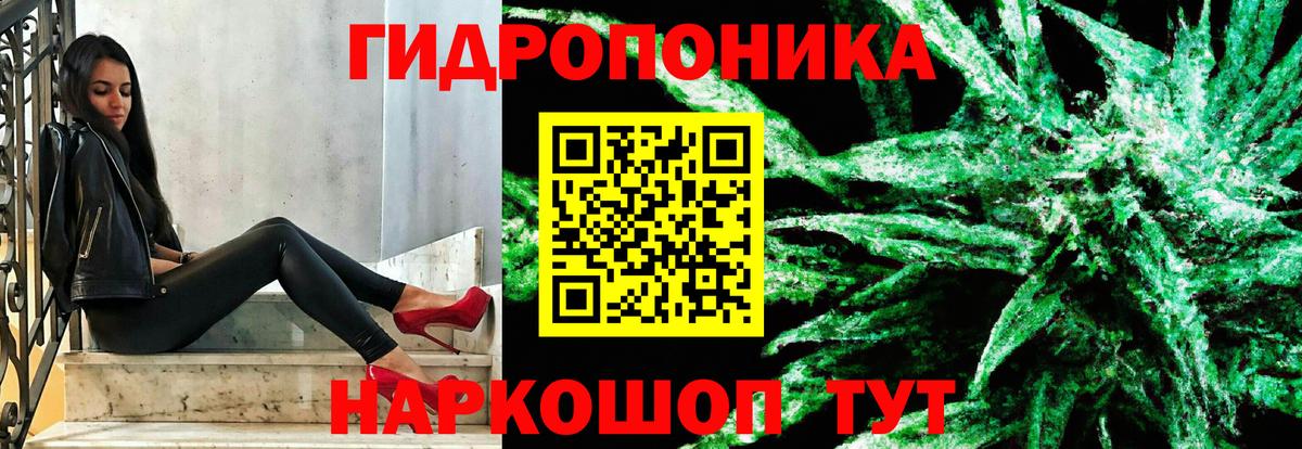 Конопля семена Туймазы